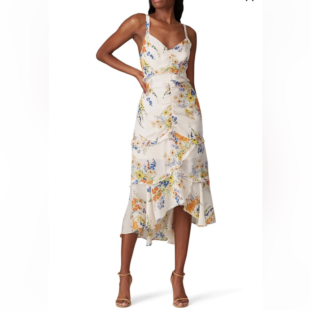 Parker Melody Floral-Printed Back-Cutout Dress size 2